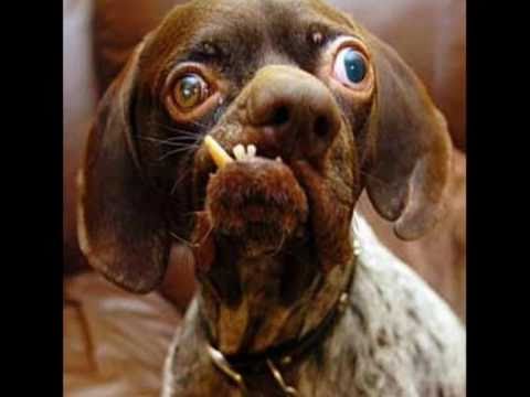 LA TIENDA DE LA ESQUINA-LA RAZA BAND