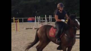 (Aura-Love Somebody ) hipismo