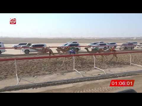   ش 23 (البافل) لـ سلطان يريو محمد المنصوري 3:03:00 , شارة الصندوق 2026/08/30 فطامين الوثبة 