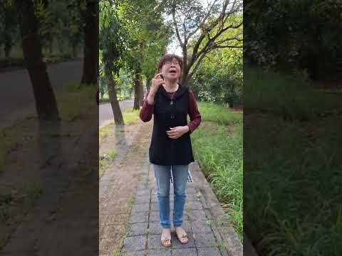 陳美杏／卡水的夢