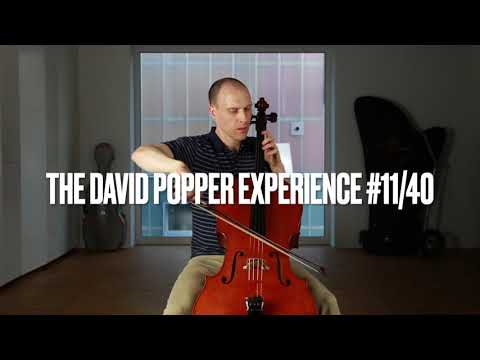 David Popper Experience #11/40 - Sebastian Diezig, cello