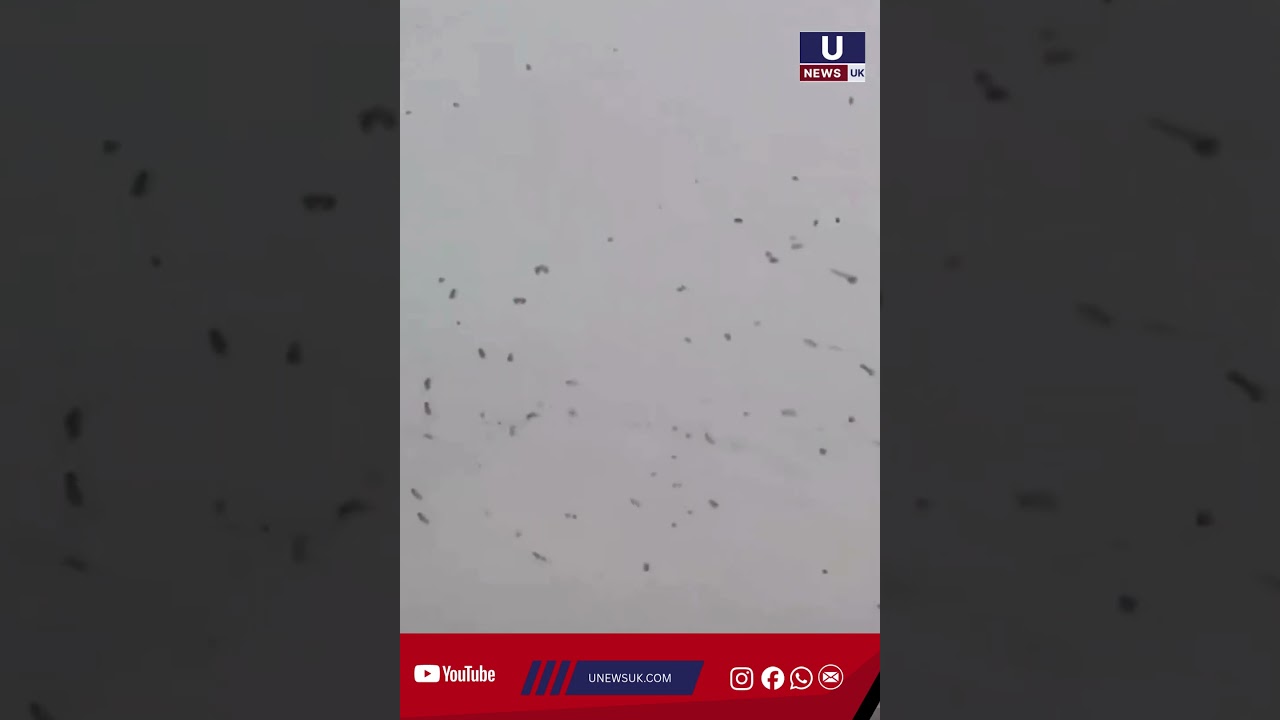 A video showing large flocks of crows swarming parts of Tel Aviv has gone viral on social media, dra