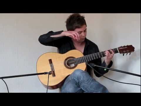 Wasted Years (Iron Maiden) Acoustic - Thomas Zwijsen