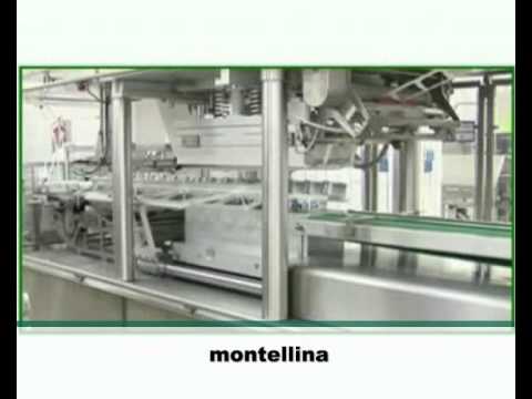 LATTERIA MONTELLO S P A