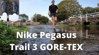 Nike Pegasus Trail 3 GORE-TEX