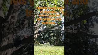 Download lagu 30 septembre 2022 mp3