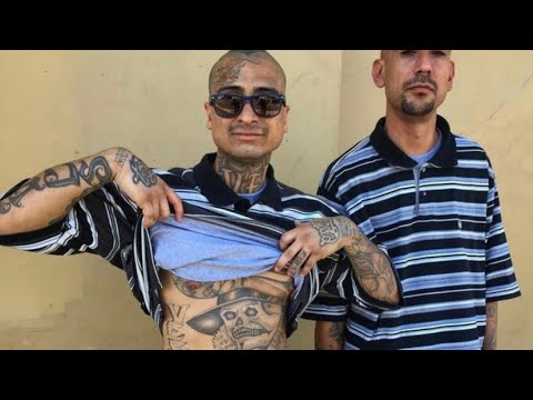 The Story of the Avenues “Most Notorious Gang of Northeast LA”