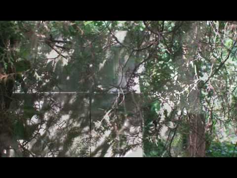 SERGE  CHALOFF QUARTET - THANKS FOR THE MEMORIES