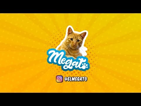 download lagu mp3 mp4 Gato Mega, download lagu Gato Mega gratis, unduh video klip Gato Mega