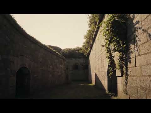 “Everything is Free” // Gillian Welch cover by Phoebe Bridgers & Courtney Barnett