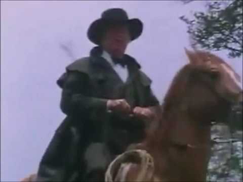 Los Sementales De Nuevo León - El Árbol De La Horca ( video oficial )