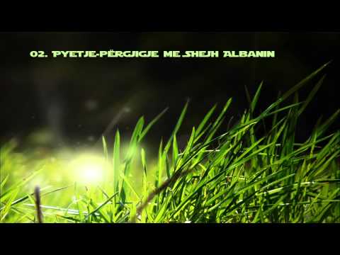 02. Shejh Albani (Pyetje Pergjigje- SHQIP)