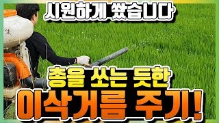 [이삭거름] 미스트기로 비료주기