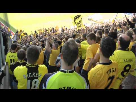 Mainz 05 - Borussia Dortmund Torjubel 1-1 BVB Fans Auswärtssieg