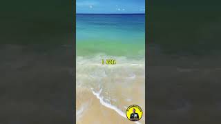 LEGIÃO URBANA #djfernandoruas #nostalgia #tuneldotempo #flashback #bailedasantigas #legiãourbana