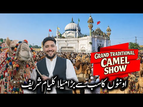 Biggest Camel Fair In History 🐪 || Kalyam Sharif Mela 2026 🤲 || #kashmiri_bethak