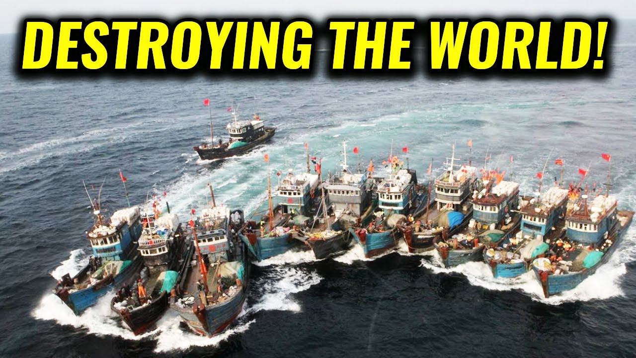 How China is Destroying the World!