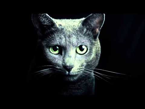 Chilled C´Quence - Luxury