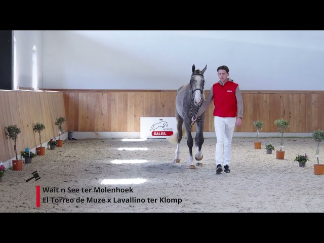 Wait n See ter Molenhoek