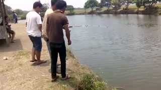 preview picture of video 'Mancing ikan patin di Pemancingan Bawing SukaDiri - Tangerang Part 1'