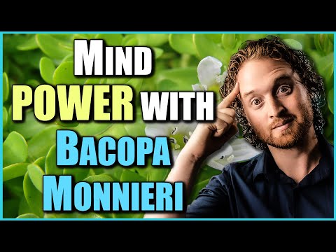 Bacopa Monnieri: The Nootropic For ADHD, Anxiety And Depression!