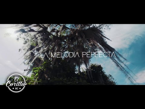 La Melodía Perfecta Gio & Gabo - ¿Qué Pasa?   (Video Oficial)