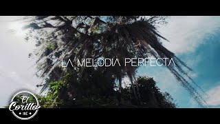 La Melodía Perfecta Gio & Gabo - ¿Qué Pasa?   (Video Oficial)