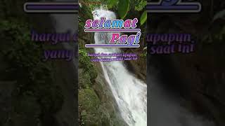 Download lagu Status wa ucapan selamat pagi mp3