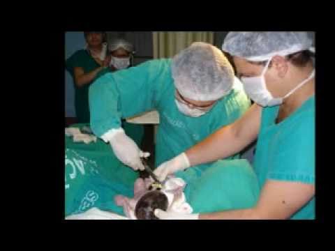 Raryston - Homenagem Família