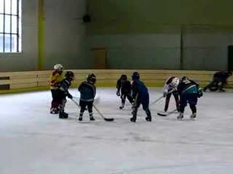 szkółka hokejowa-Cracovia