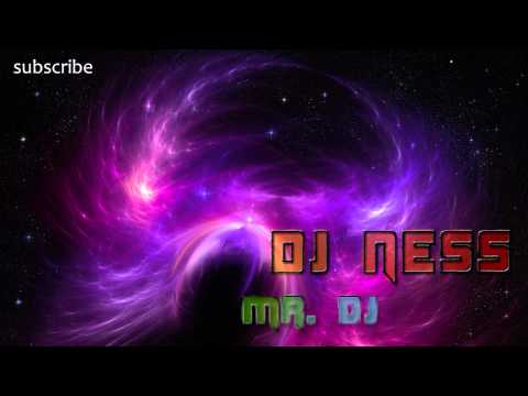 DJ Ness - Mr. DJ (Baby Alice vs Gabry Ponte)