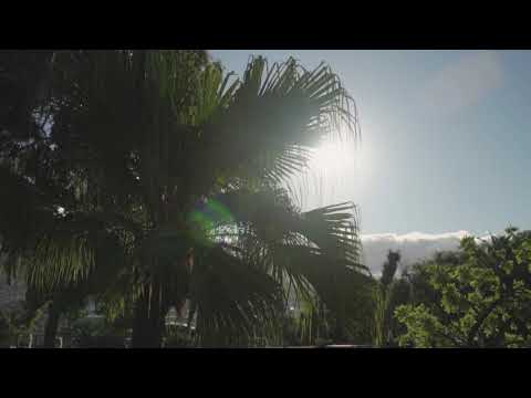 Rico Van Basten-Freelander (Original Mix)