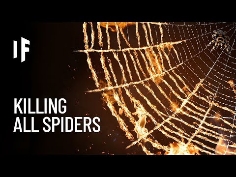 What If We Killed All Spiders?