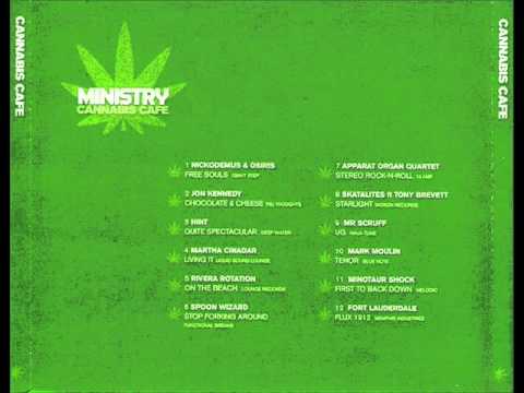 Skatalites - Starlight - ft Tony Brevett.wmv