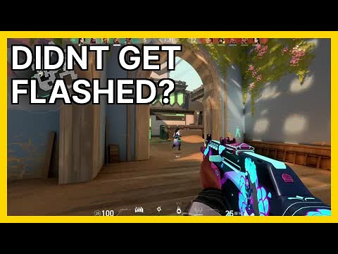 didnt get flashed? (hitchpov) | Smash Melee Highlights