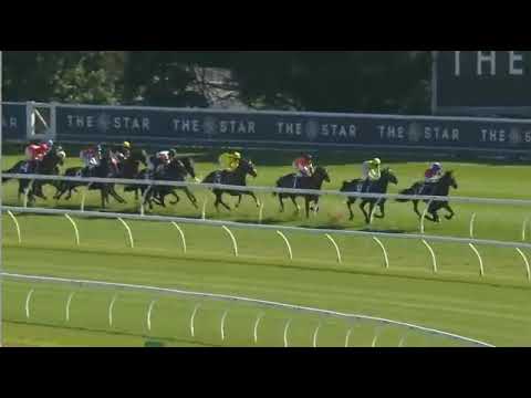 El Castello - Spring Champion Stakes 2000m Group 1 2024 - Ridden Josh Parr, Trained Anthony Cummings