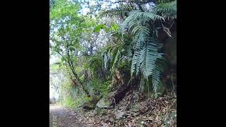 Re: [問題] 白牌125跑切西瓜縱走問題