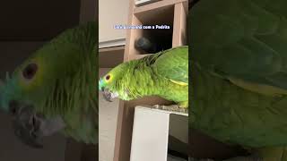 Papagaios falantes da mamãe ! Café da manhã com a Pedrita e bom demais #papagaio #pets #parrot