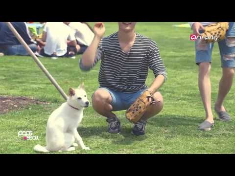 Pops in Seoul－Roy Kim ＆ Bae Da－hae (To Meet You) (로이킴＆배다해 ,너를 만나기 위해)