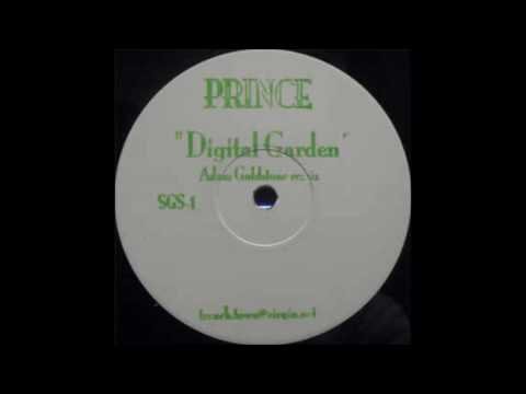 prince-digital garden