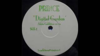prince-digital garden