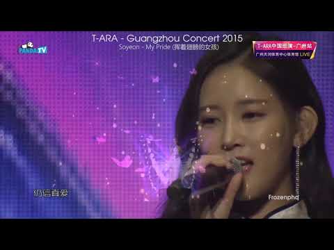 [151219 T ara Guangzhou Concert]  Soyeon - Pround of you