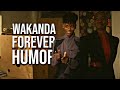 black panther wakanda forever humor | so yall stoped having black panthers when i get kidnapped?