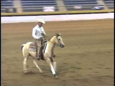 PAINTED BY HOLLYWOOD