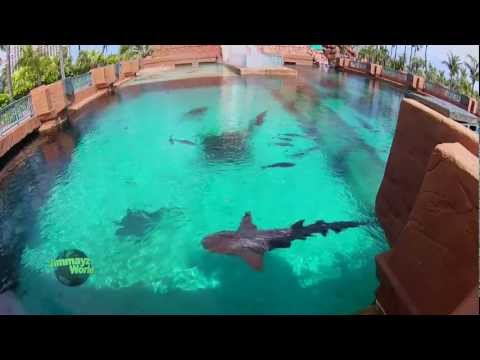 Bahamas video