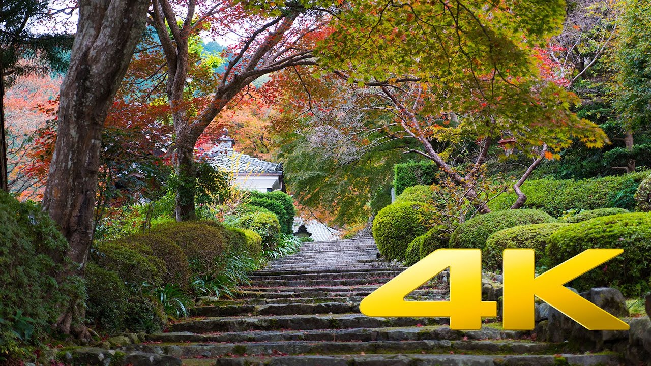 Kyoto Yoshimine-Dera