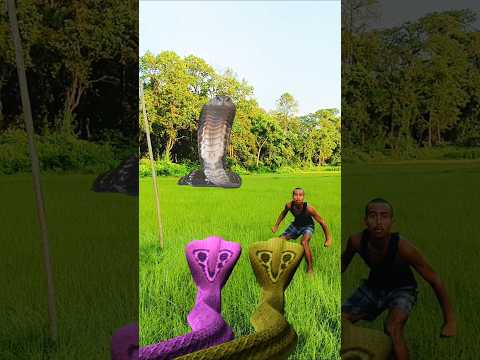 Maine Aaj pahli bar game download karke khela bahut maja Aaya Har Har Mahadev Ne Mujhe help Kiya