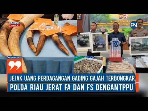 Jejak Uang Perdagangan Gading Gajah Terbongkar, Polda Riau Jerat FA dan FS dengan TPPU