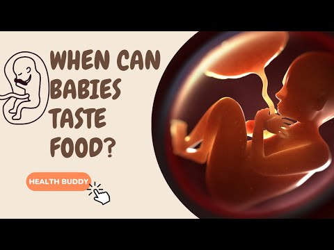 How Babies Experience Flavors in the Womb? Fetal Development and Taste