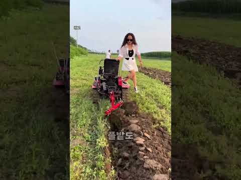 소 한마리 보다 나은 트랙터